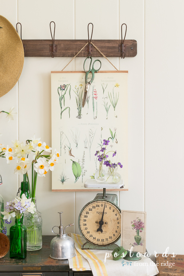 Garden-inspired decor. Love all of these easy ways to add some garden-inspired decor to your home! #homedecor #gardendecor #cottagedecor #vintagedecor vintage botanical collage art and metal scales as garden decor